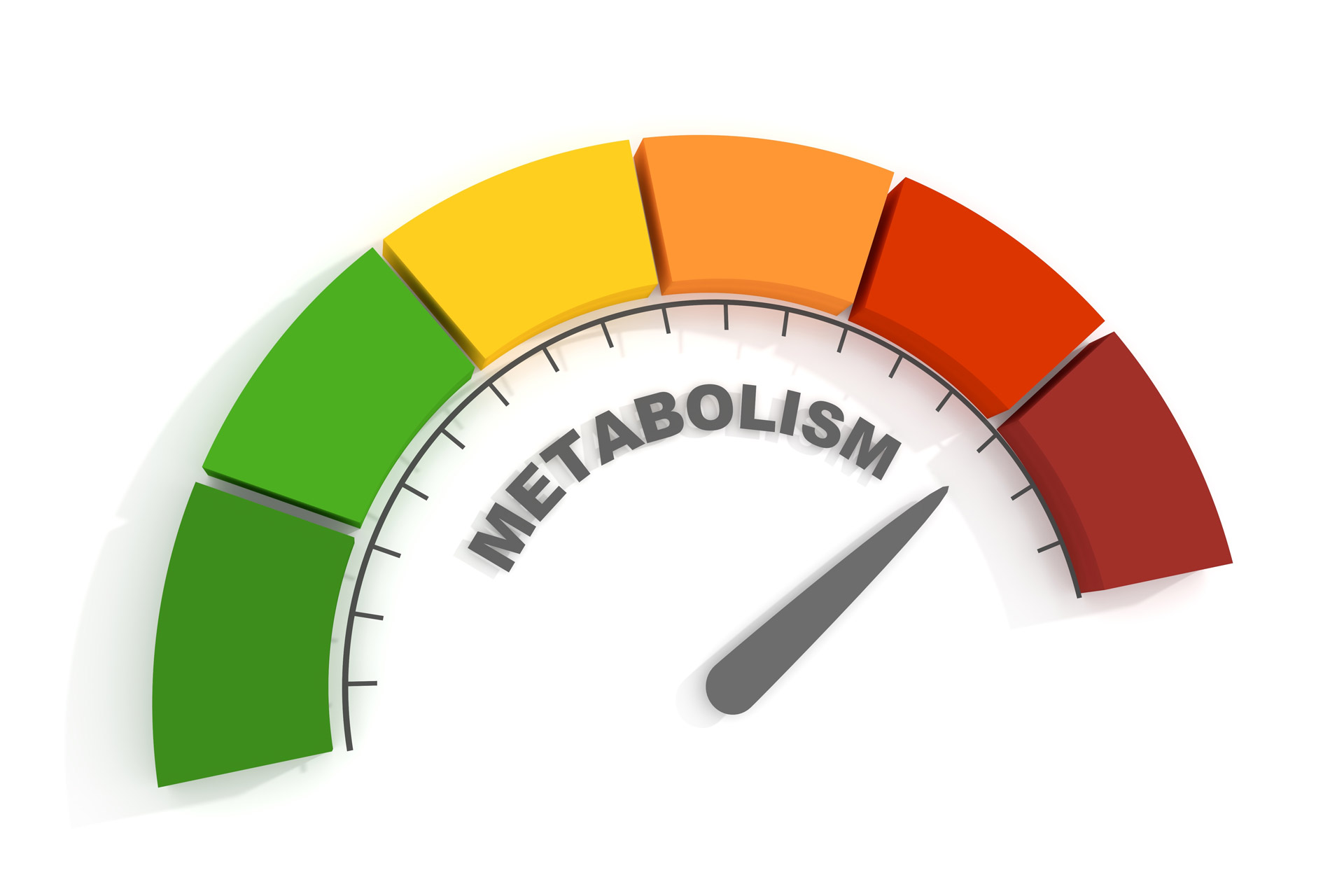 How-to-Check-Metabolism