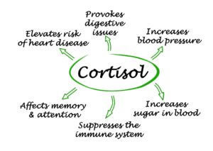 Lowering Cortisol